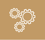ilustracion decorativa